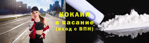 индика Гусев