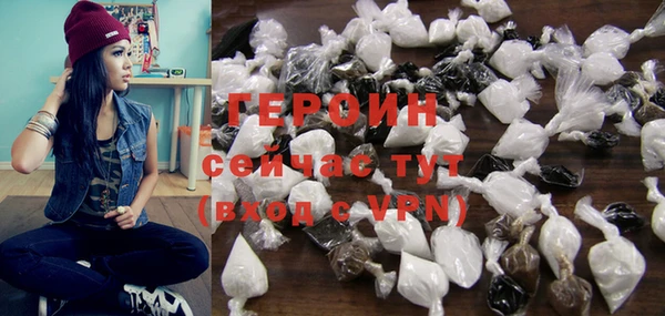индика Гусев