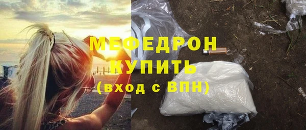 индика Гусев