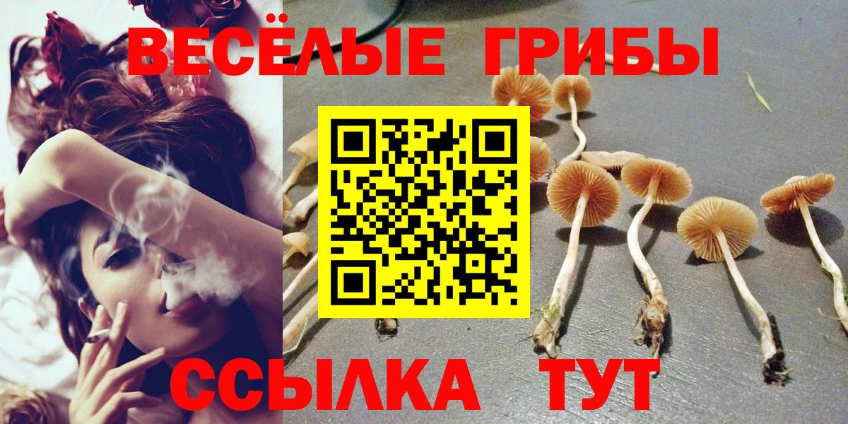 Галлюциногенные грибы мухоморы Десногорск