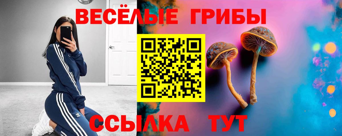 Галлюциногенные грибы Psilocybine cubensis  наркошоп  Десногорск  Вход с VPN 